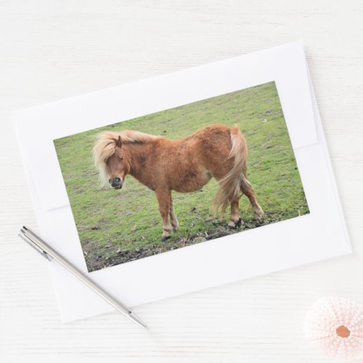 Pony stickers (Envelop)