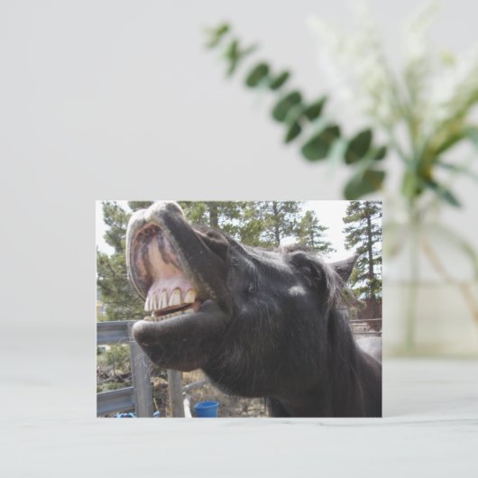 Pony Talk Briefkaart (Staand voorkant)