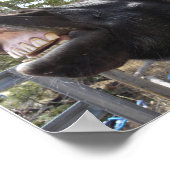 Pony Talk Poster (Hoek)