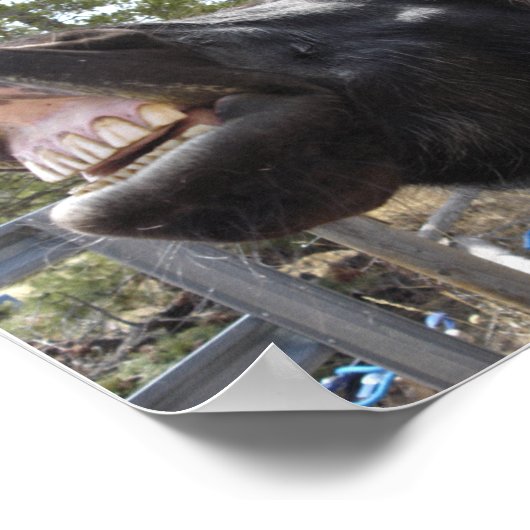 Pony Talk Poster (Hoek)