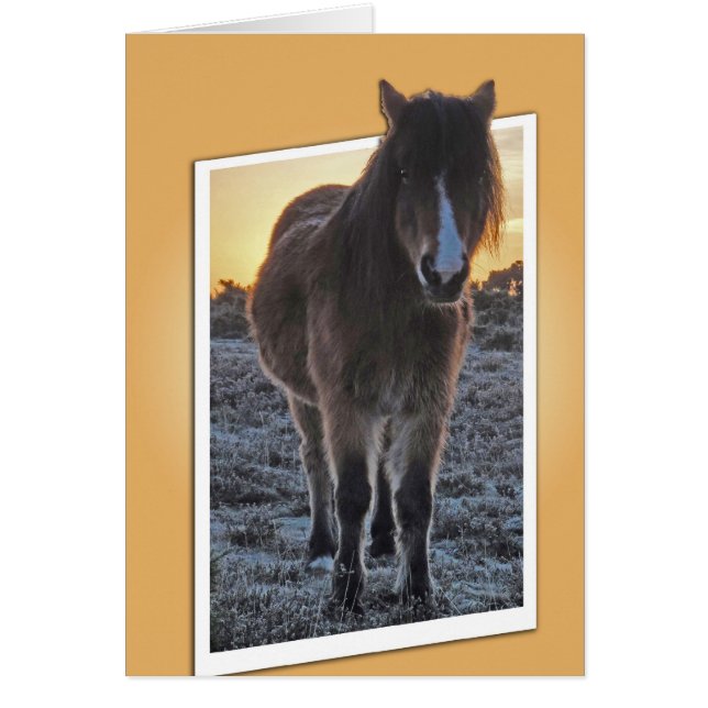 Pony-uitsnijdkaart (Voorkant)
