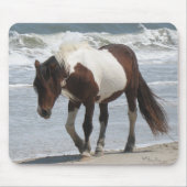 Pony van Assateague Muismat (Voorkant)