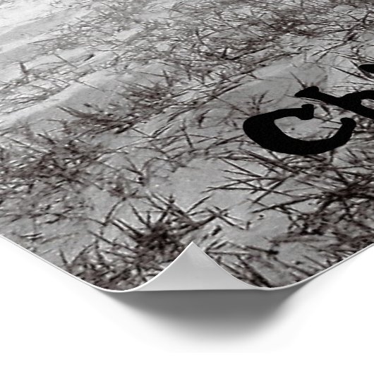 Pony van Chincoteague Poster (Hoek)