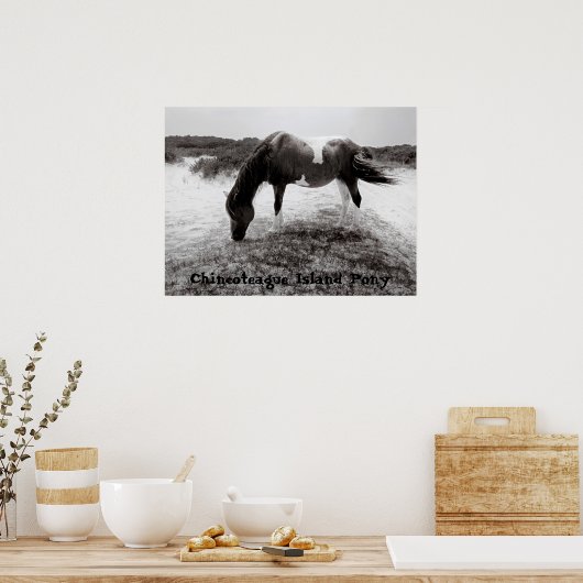 Pony van Chincoteague Poster (Keuken)