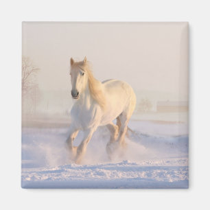 Pony van het Western paardenpestrië (White Horse L Magneet