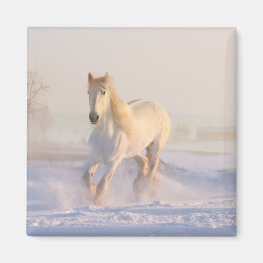 Pony van het Western paardenpestrië (White Horse L Magneet (Voorkant)