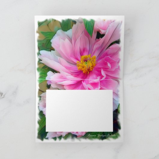 Pony [Wenskaart] カ ー ド Kaart (Binnen)