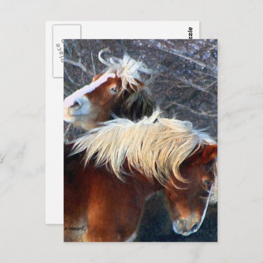 pony's briefkaart (Voorkant / Achterkant)