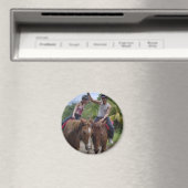 pony's magneet (Insitu (Vaatwasser))