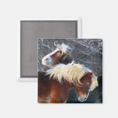 pony's magneet (Voorkant / Achterkant)