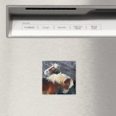 pony's magneet (Insitu (Vaatwasser))