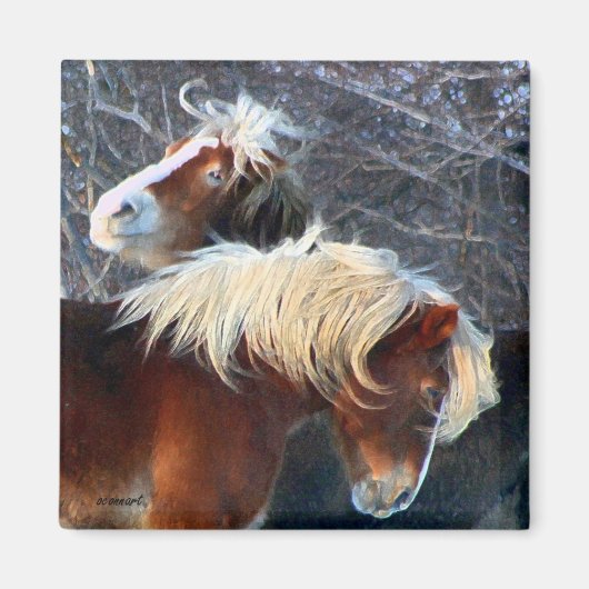 pony's magneet (Voorkant)