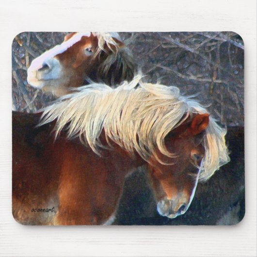 pony's muismat (Voorkant)
