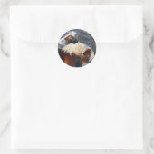 pony's ronde sticker (Tas)