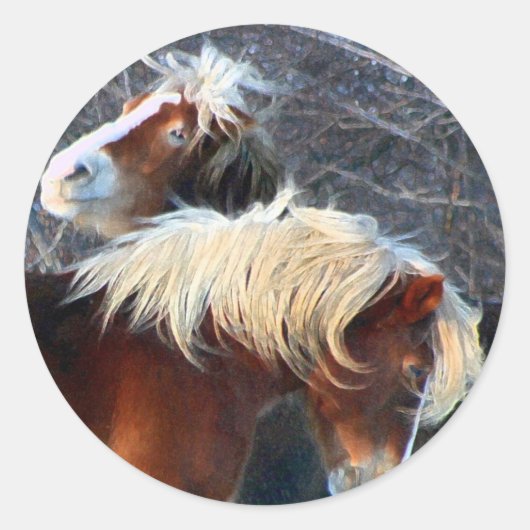 pony's ronde sticker (Voorkant)