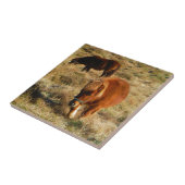 pony's van miniatuur tegeltje (Zijkant)