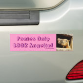 Pony's ZIEN er alleen Angelic UIT! Bumpersticker (Op auto)