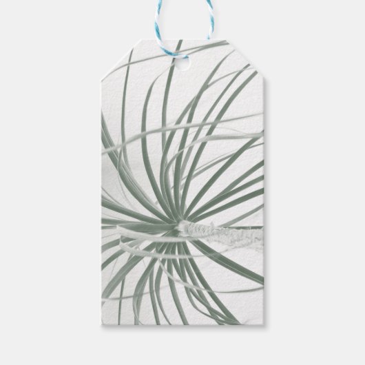 Ponystaartpalmfoliën op wit cadeaulabel (Voorkant)