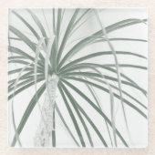 Ponystaartpalmfoliën op wit glazen onderzetter (Voorkant)