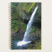 Ponytail-Herfsten, OF Planner (Voorkant)