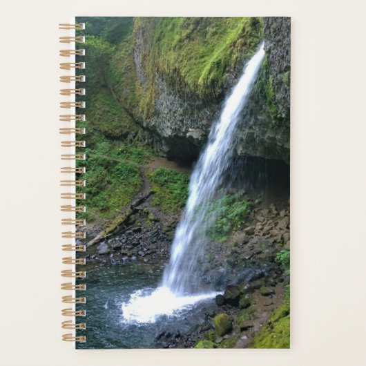 Ponytail-Herfsten, OF Planner (Voorkant)