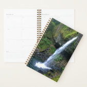 Ponytail-Herfsten, OF Planner (Display)