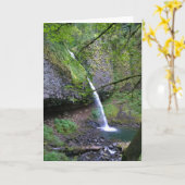 Ponytail Herfsten, Oregon Kaart (Gele Bloem)