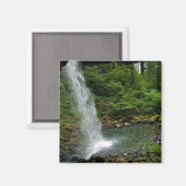 Ponytail Herfsten, Oregon Magneet (Voorkant / Achterkant)