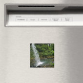 Ponytail Herfsten, Oregon Magneet (Insitu (Vaatwasser))