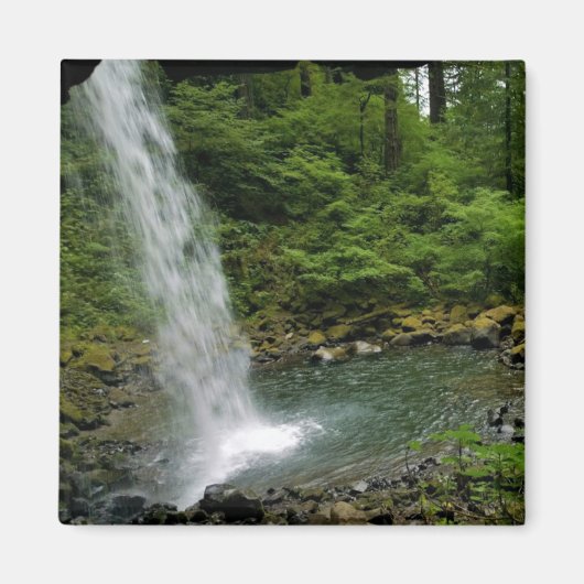 Ponytail Herfsten, Oregon Magneet (Voorkant)
