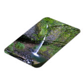 Ponytail Herfsten, Oregon Magneet (Linkerzijde)