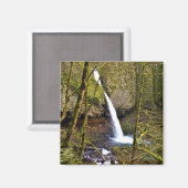 Ponytail Herfsten, Oregon Magneet (Voorkant / Achterkant)