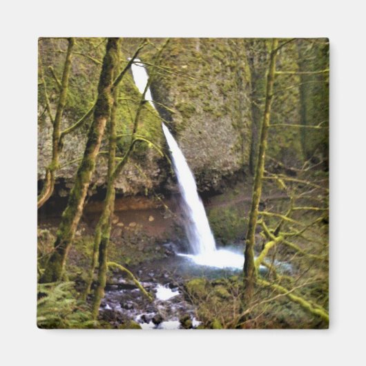 Ponytail Herfsten, Oregon Magneet (Voorkant)