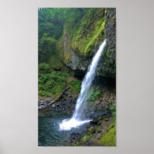 Ponytail Herfsten, Oregon Poster (Voorkant)