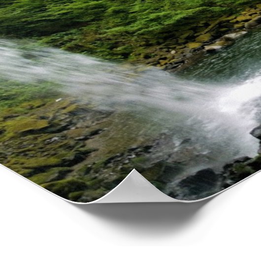 Ponytail Herfsten, Oregon Poster (Hoek)
