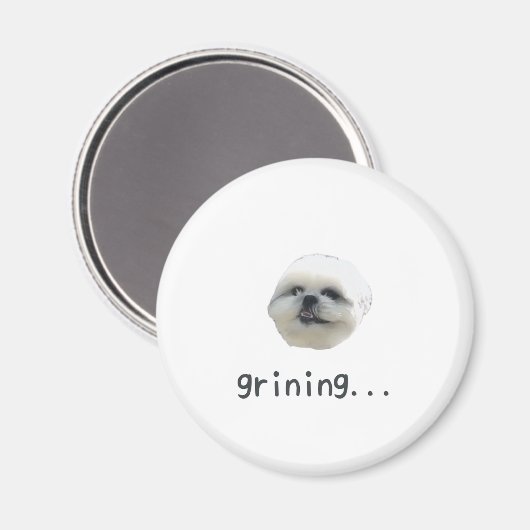 PONZU magnet (Voorkant / Achterkant)
