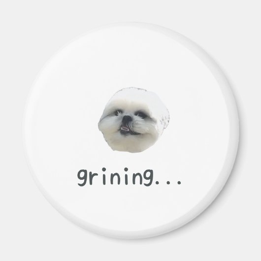 PONZU magnet (Voorkant)