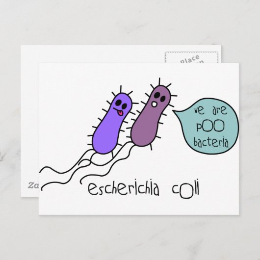 Poo Bacteria Briefkaart (Voorkant / Achterkant)