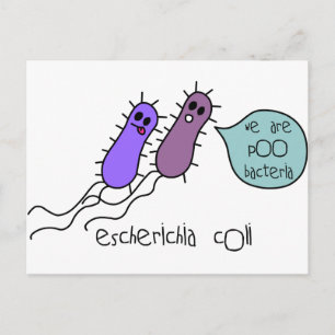Poo Bacteria Briefkaart