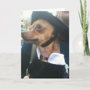 POOCH VRAAGT VERGIFFENIS VOOR VERJAARDAG KAART