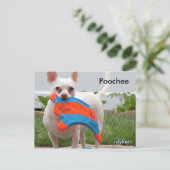 Poochee, -slyken- briefkaart (Staand voorkant)