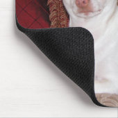 Poochee winter 026, The Cutest Pet of All, Poo... Muismat (Hoek)