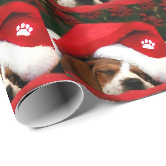 Poochie Papier (Rol Hoek)