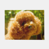 Poodeldog. Deurmat (Voorkant)