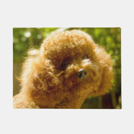Poodeldog. Deurmat (Voorkant)