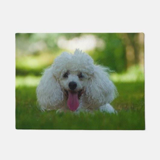 Poodeldog. Deurmat (Voorkant)