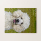 Poodelhonden. Legpuzzel (Horizontaal)