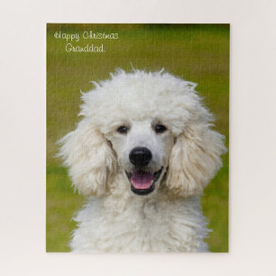 Poodelhonden. Legpuzzel