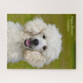 Poodelhonden. Legpuzzel (Horizontaal)