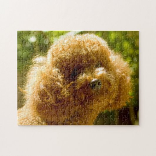 Poodelhonden. Legpuzzel (Horizontaal)